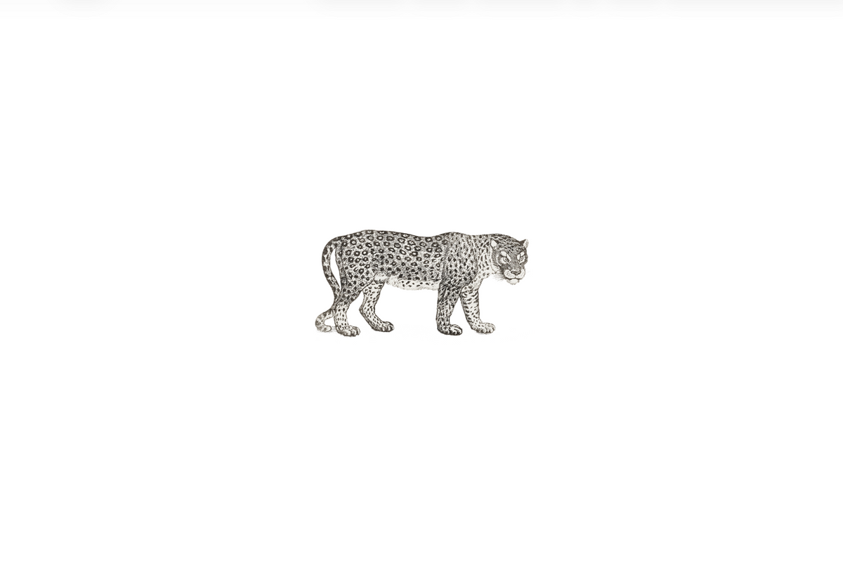 'LEOPARD' GRAPHIC TEE