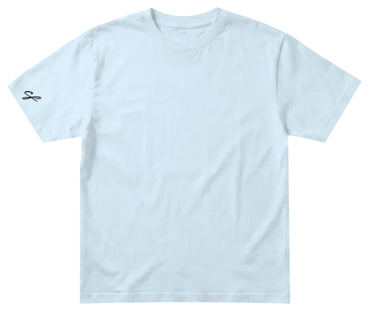 'WINGS' graphic tee in baby blue, front